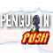 Penguin Push (Oynama:955)
